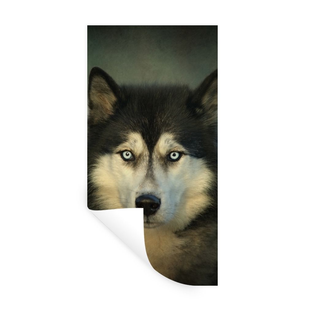 MuchoWow Wandtattoo Wandsticker Wandaufkleber Husky schaut in die Kamera 60x120 cm Selbstklebend und Repositionierbar - Selbstklebend - Fototapeten