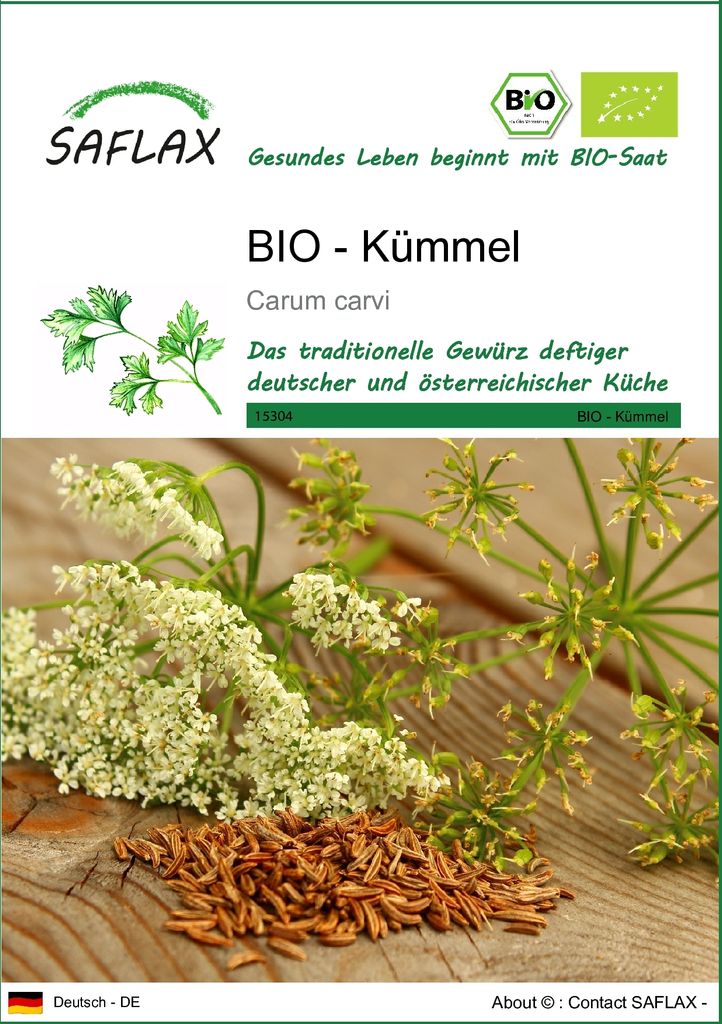 SAFLAX - BIO - Kümmel - 800 Samen - Carum carvi