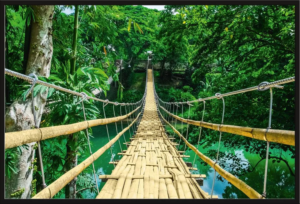 Affiche Jungle Pont Suspendu Shinsuke Maxi Cadre Noir Plexiglas
