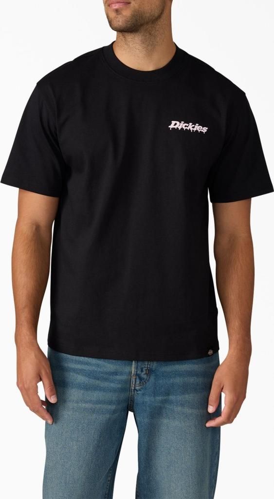 DICKIES STATESVILLE Schwarz