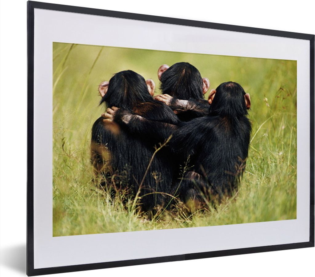 MuchoWow MuchoWow Gerahmtes Poster Affe - Gras - Tiere 40x30 cm - Poster mit zchwarzem Bilderrahmen - Bilderrahmen - Poster im Rahmen