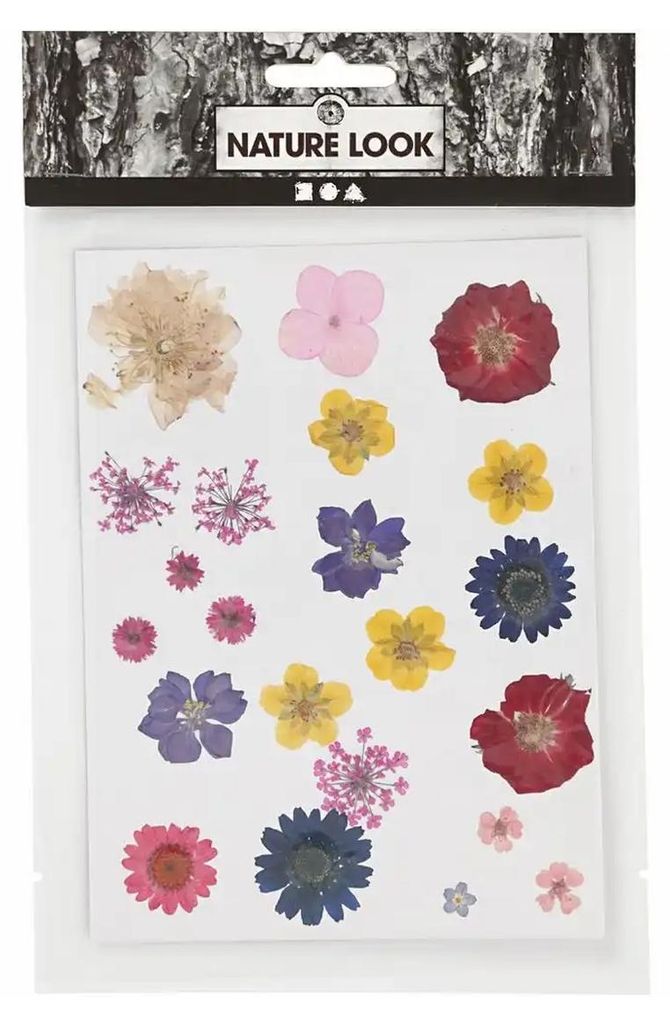 Creativ Company 504475, Gemischte Farben Produktbild 