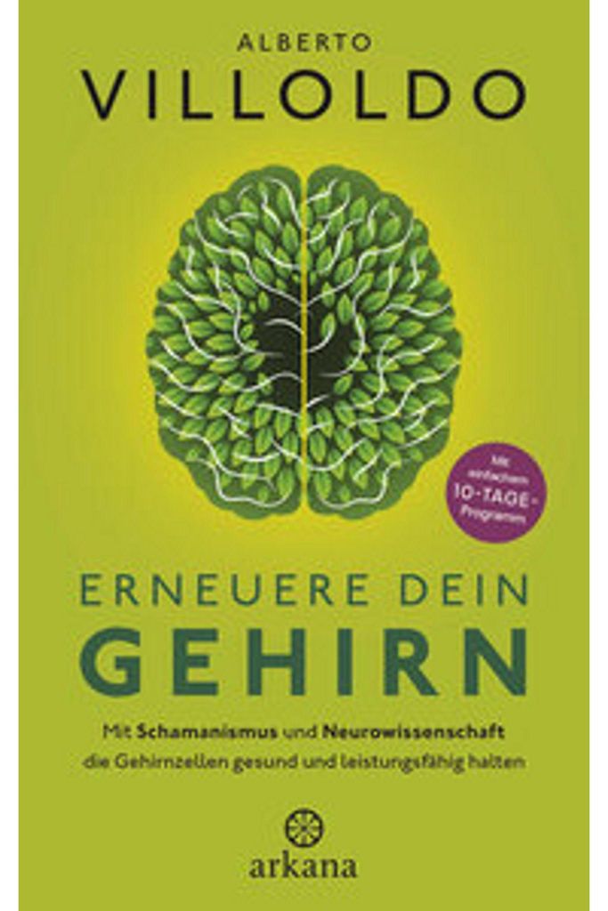 Erneuere dein Gehirn