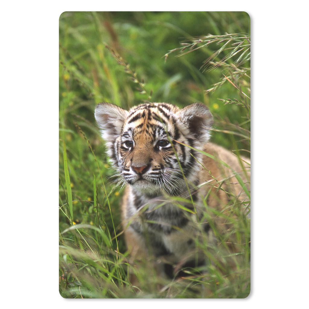 MuchoWow Mauspad Mousepad Bengalischer Tiger - Gras - Pflanzen 40x60 cm - Mousepads - Maus Mat - Pad - Mausunterlage - Schreibtisch Accesoire