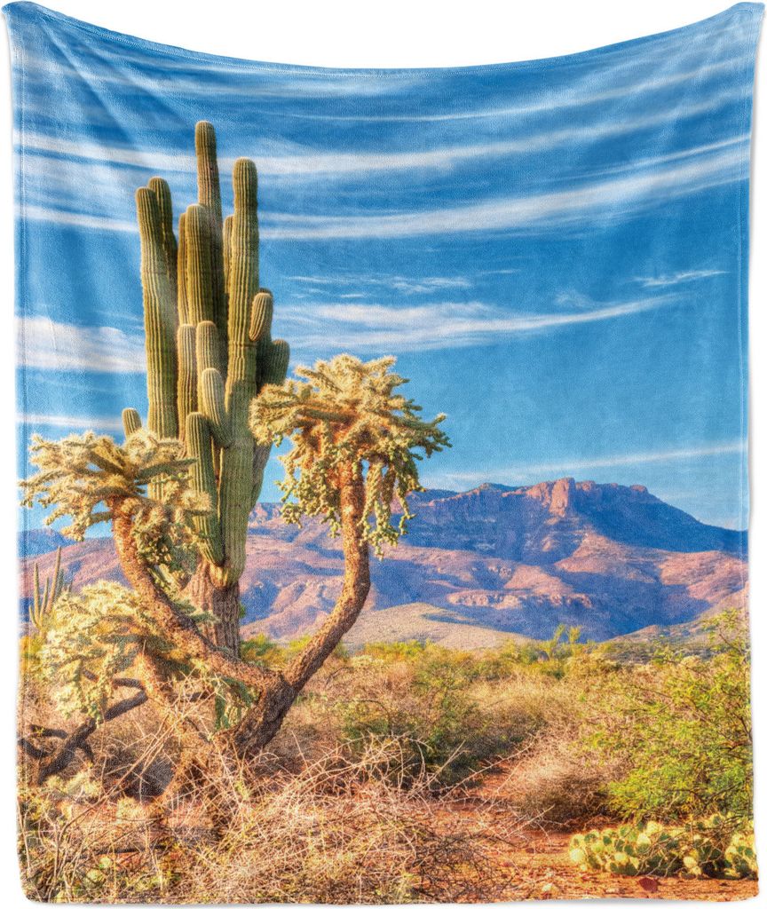 ABAKUHAUS Kaktus Weich Flanell Fleece Decke, Landschaft und Prickeln Pflanze, Gemütlicher Plüsch für den Innen- und Außenbereich, 125 x 175 cm,...