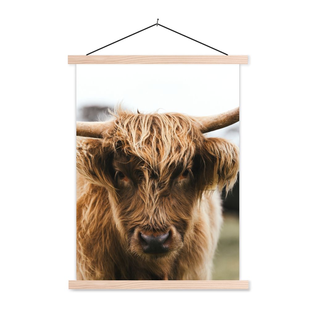MuchoWow Textilposter Schottischer Highlander - Kuh - Gras - Tiere - Natur 120x160 cm mit holzfarbenen Rahmen - Plakatkarton