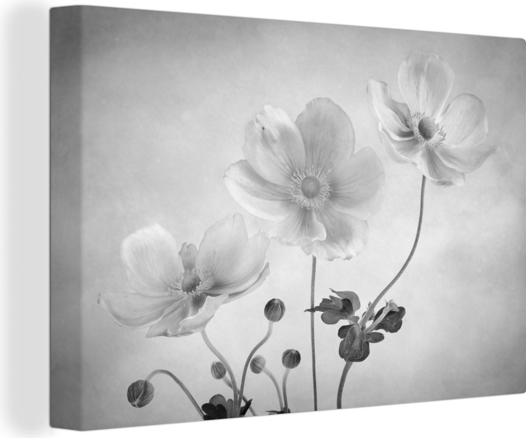 OneMillionCanvasses - Leinwandbilder - 140x90 cm, Stilleben - Schwarz und Weiß - Blumen, Wandbilder Kunstdruck Wanddekoration