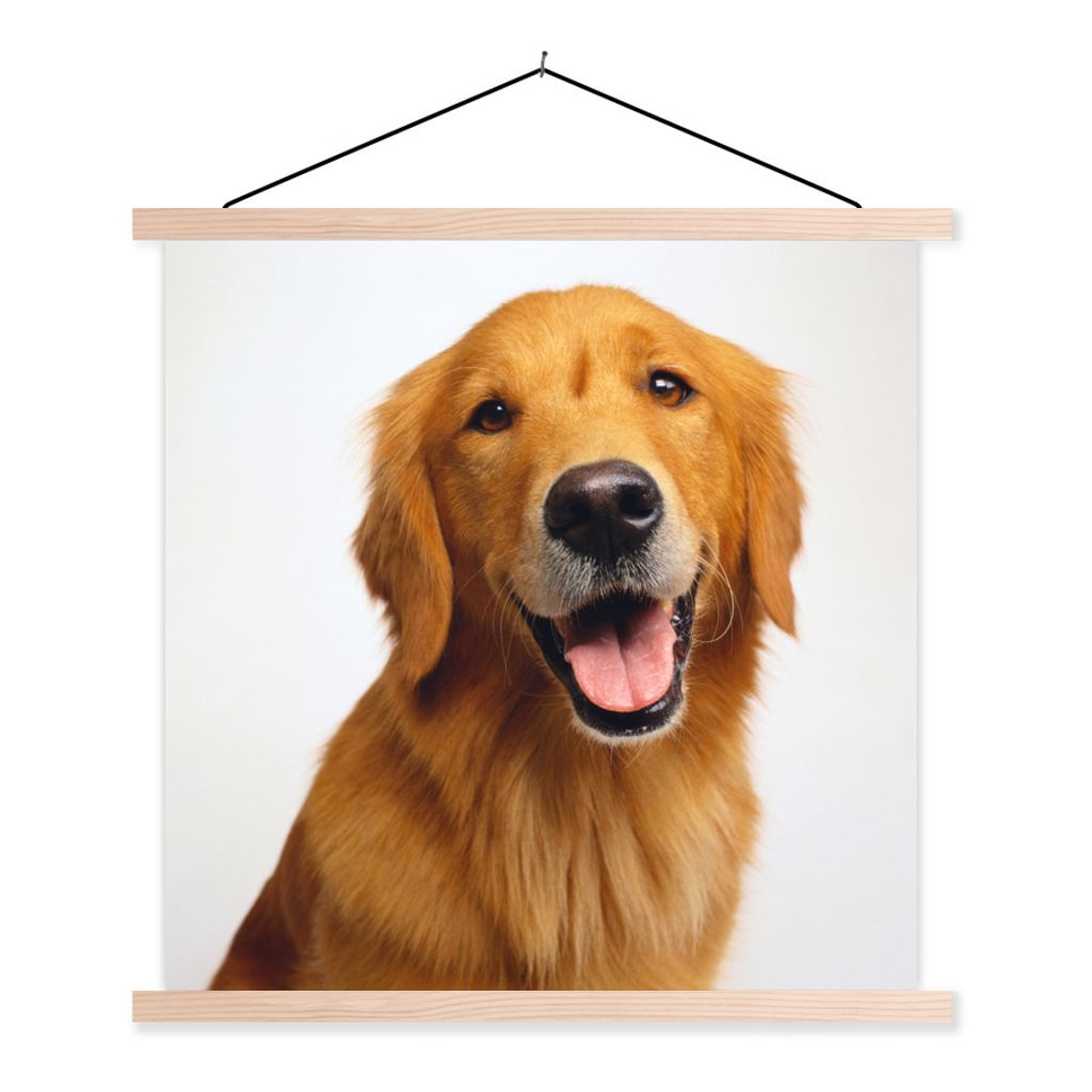 MuchoWow Textilposter Porträt eines goldbraunen Golden Retrievers 60x60 cm mit holzfarbenen Rahmen - Wanddekoration