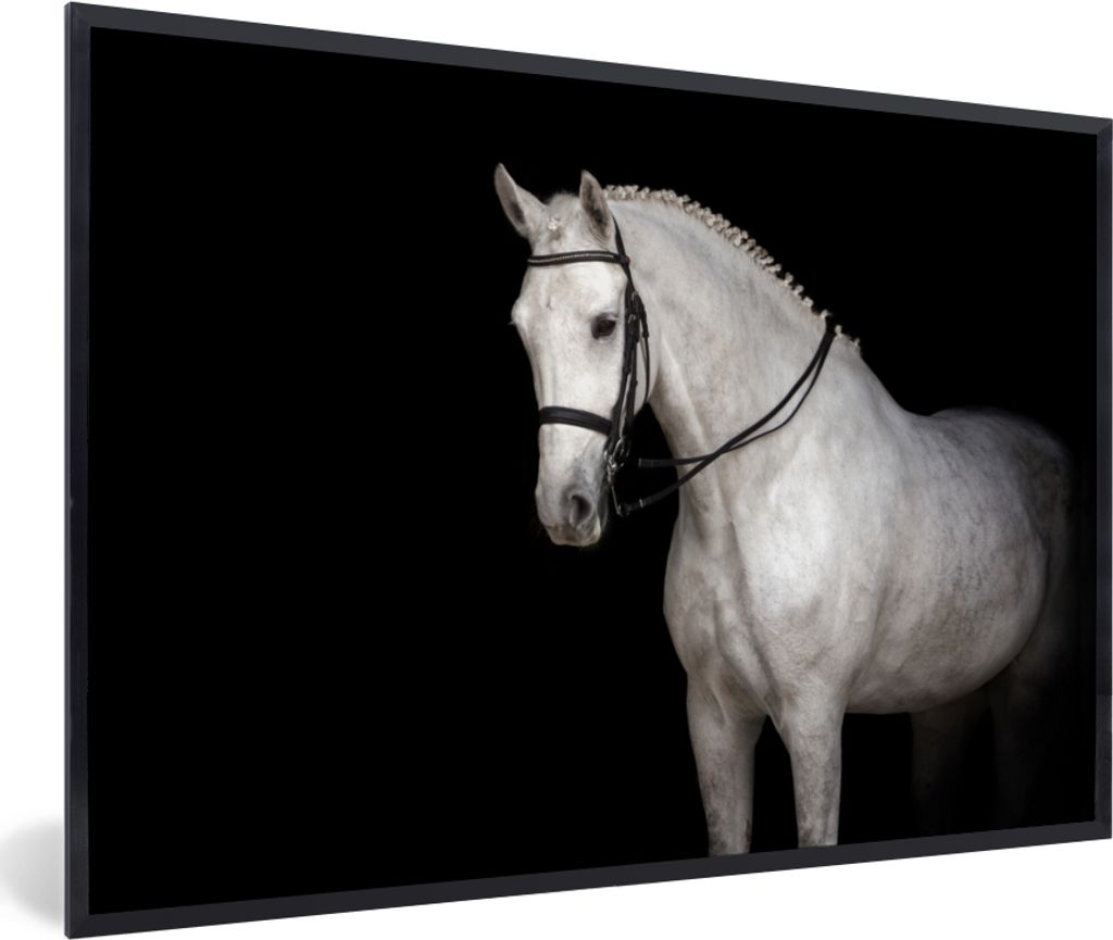 MuchoWow MuchoWow Gerahmtes Poster Pferd - Weiß - Schwarz 90x60 cm - Poster mit zchwarzem Bilderrahmen - Fotorahmen - Foto-Plakat