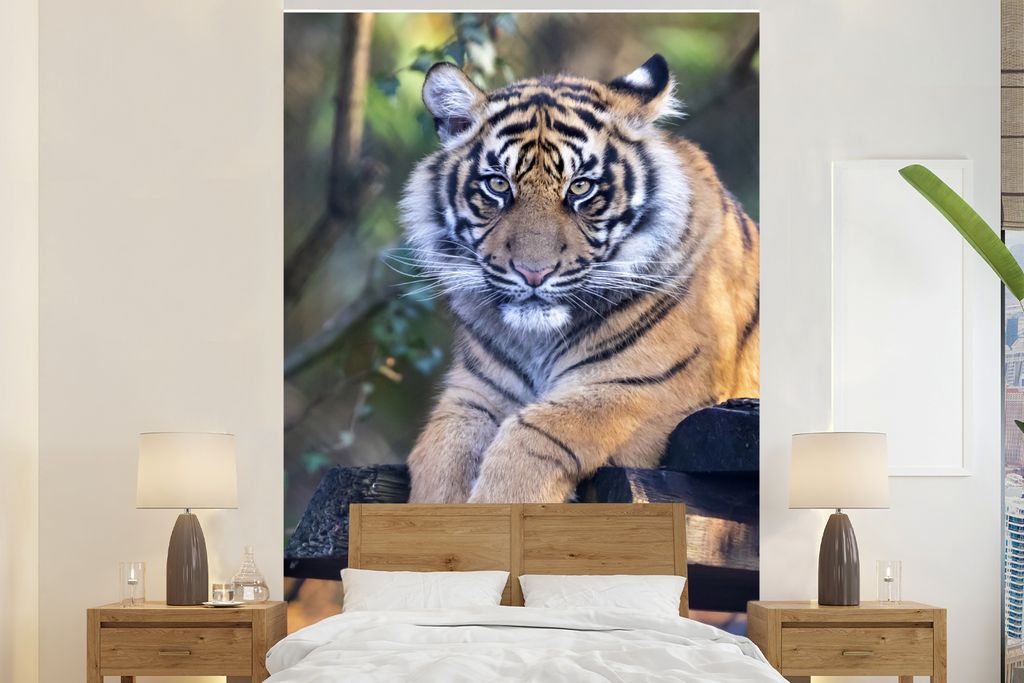 MuchoWow Fototapete für Wohnzimmer oder Schlafzimmer Wandtapete Vinyl Motivtapete Tiger - Bäume - Natur - 180x280 cm - Wallpaper