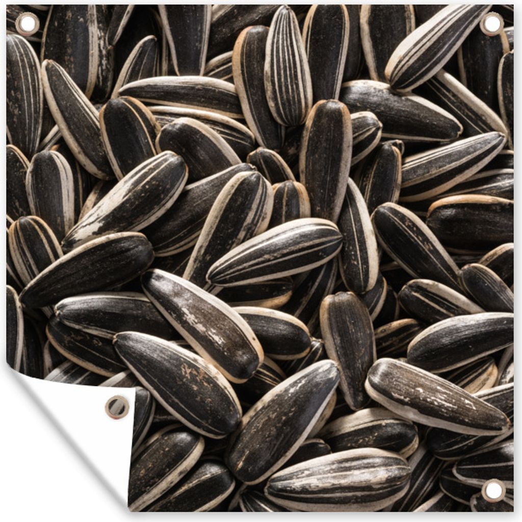 MuchoWow 100x100 cm Outdoor-Poster Gartendeko Sichtschutz Garten Poster für den Garten Nahaufnahme von schwarzen Sonnenblumenkernen