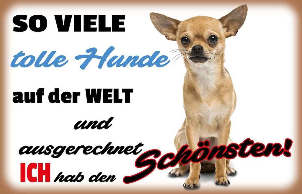 vianmo Holzschild 12x18 cm ich hab den schönsten Hund Tier Haustier