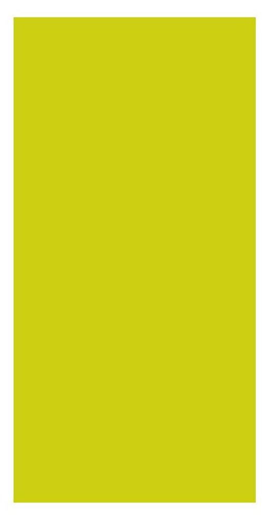 Duni Servietten kiwi 33x33cm 250 Stück gefaltet Produktbild 