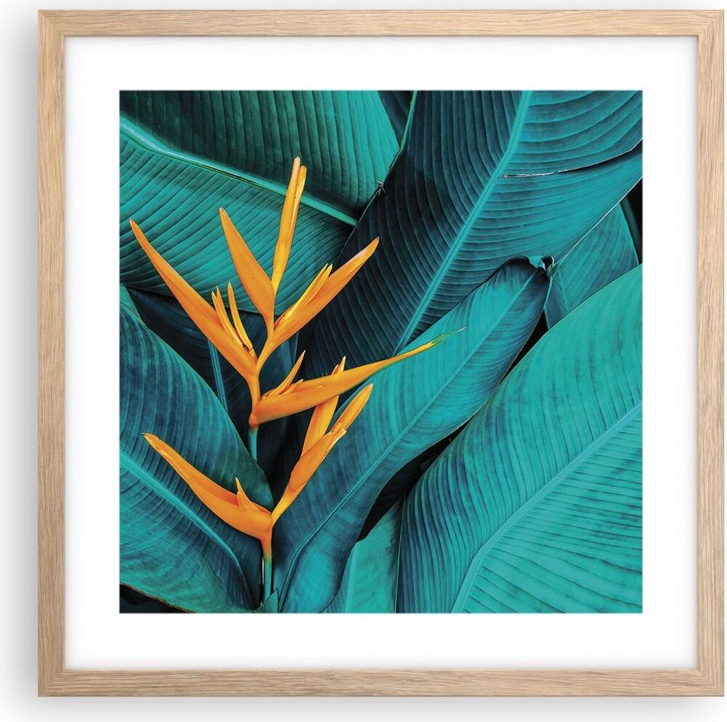 Gerahmtes Poster - Rahmen in heller Eiche - Blumen Tropen Blätter - 40x40 cm - Wand Bild - Wanddeko - Wandbilder - Kunstposter - Wandposter - Bild...