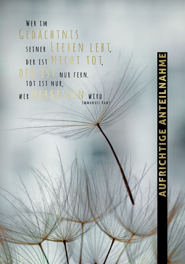 CACTUS Trauerkarte "Pusteblume Spuren"