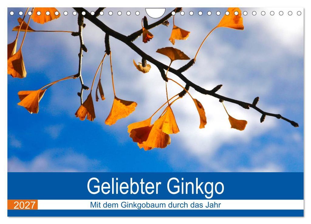 Geliebter Ginkgo (Wandkalender 2027 DIN A4 quer), CALVENDO Monatskalender