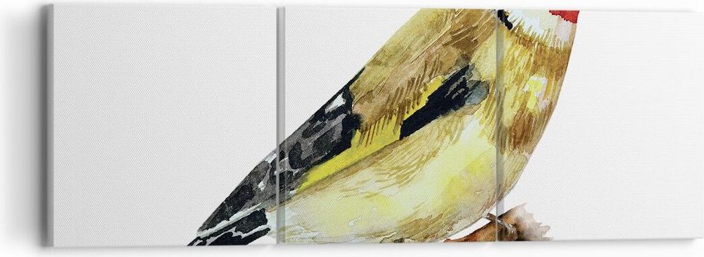 Bild auf Leinwand - Leinwandbild - 3 Teile - Stieglitz Vogel Aquarell - 90x30cm - Wand Bild - Wanddeko - Wandbilder - Leinwanddruck - Bilder - Wand...