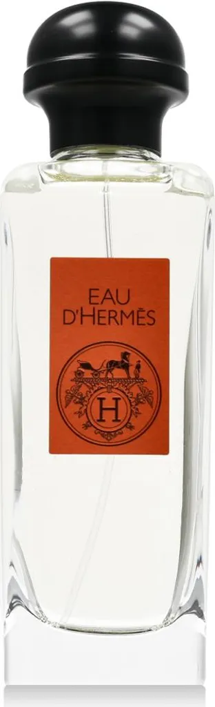 Hermès Eau D'Hermès Eau de Toilette 100 ml - Parfum Mixte Iconique