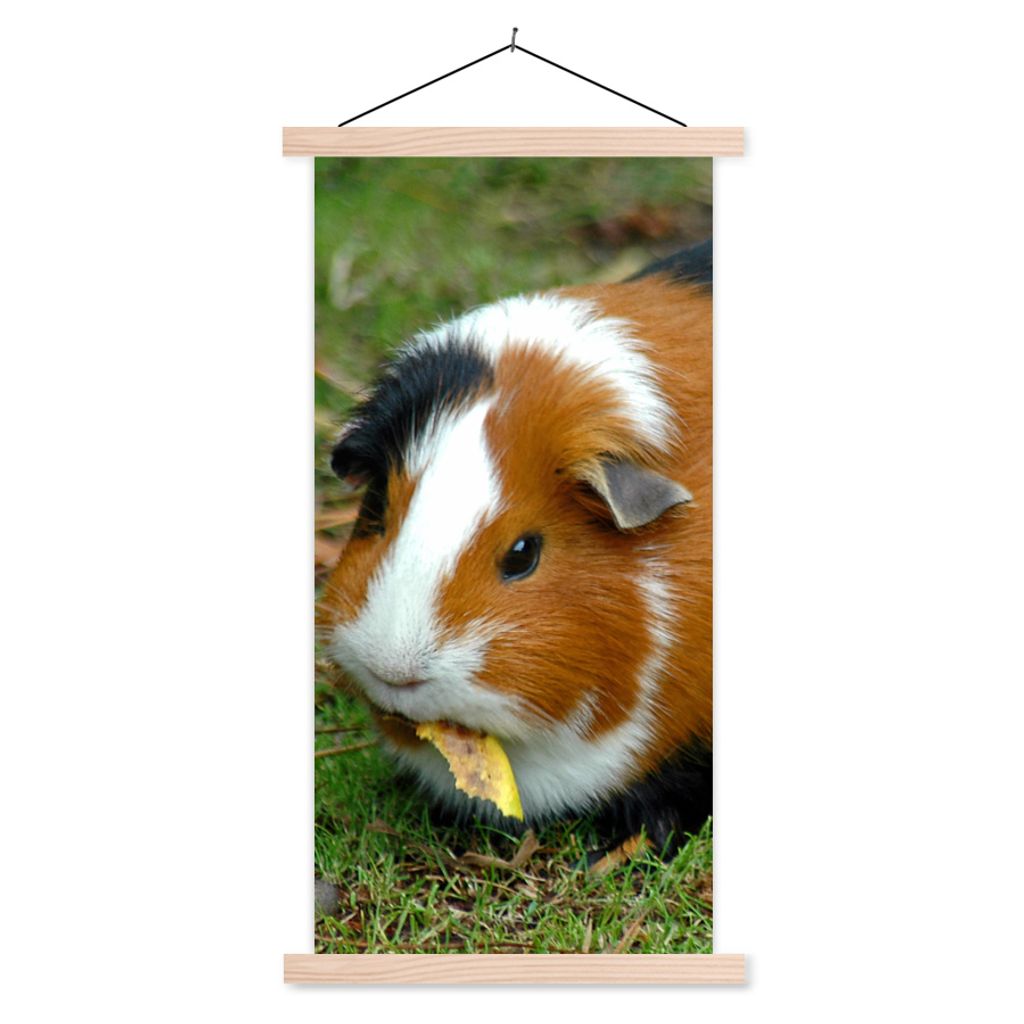 MuchoWow Textilposter Meerschweinchen draußen 60x120 cm mit holzfarbenen Rahmen - Holz