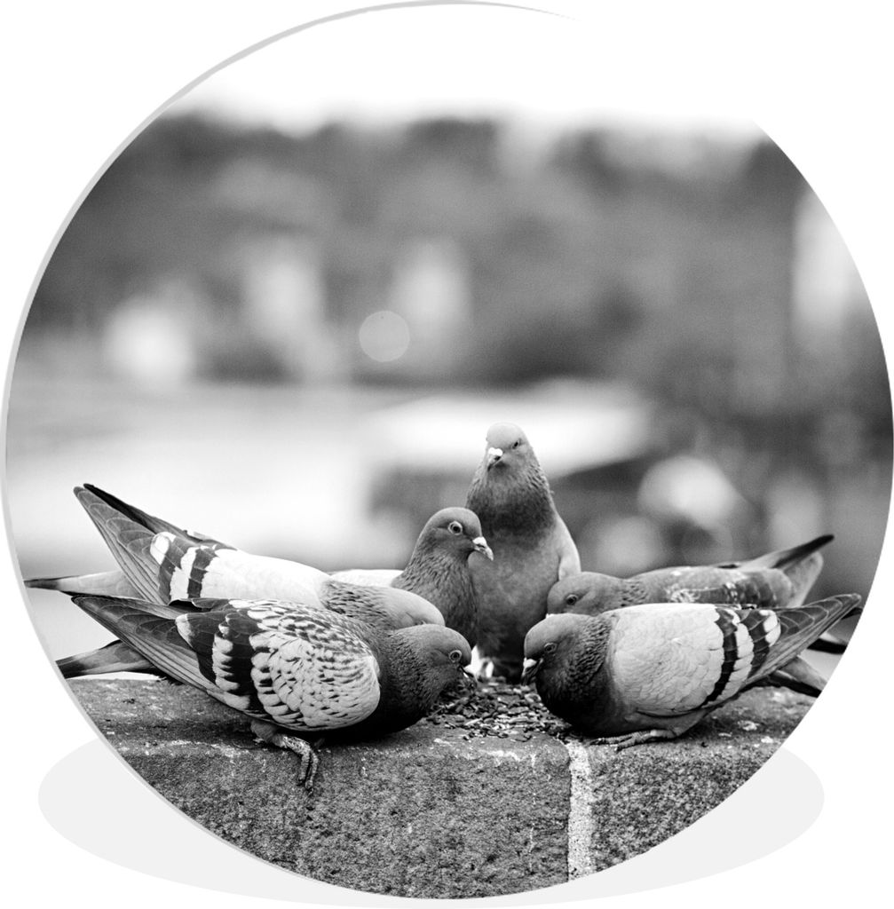 MuchoWow - Schlafzimmer - Bilder - Der Kreis - Kunst für die Wohnung - Plastik - Kunstdruck - Wandbild