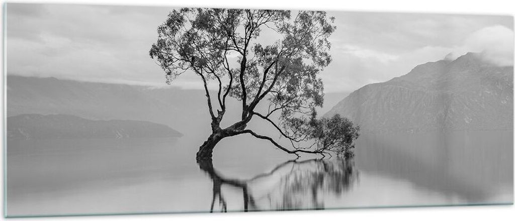 Bilder auf glas - Einteilig - Baum Symmetrie See - 140x50cm - Glasbilder - Wandbilder - Bilder - zum Aufhängen bereit - Wanddekoration aus Glas - ...