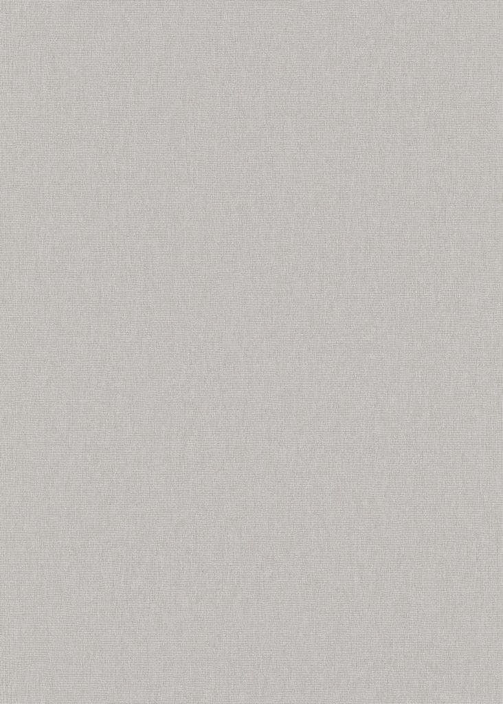 Erismann Vliestapete Uni taupe 10,05 x 0,53 m Produktbild 