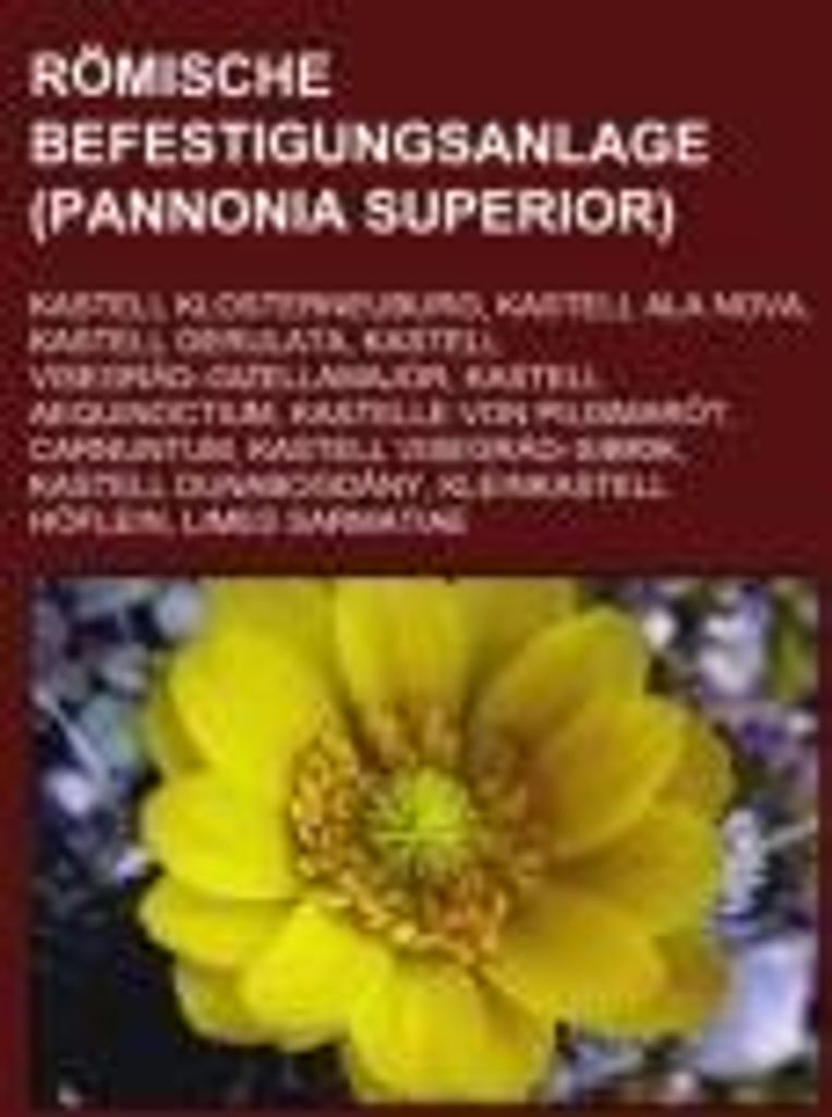 Römische Befestigungsanlage (Pannonia superior)