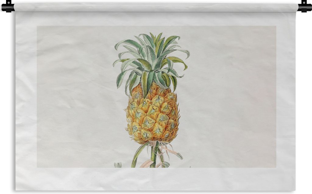MuchoWow Wandteppich Wandbehang Ananas - Pflanze - Lebensmittel 90x60 cm Tapisserie Dekoration Wandtuch - Wandskulpturen - Bildteppich