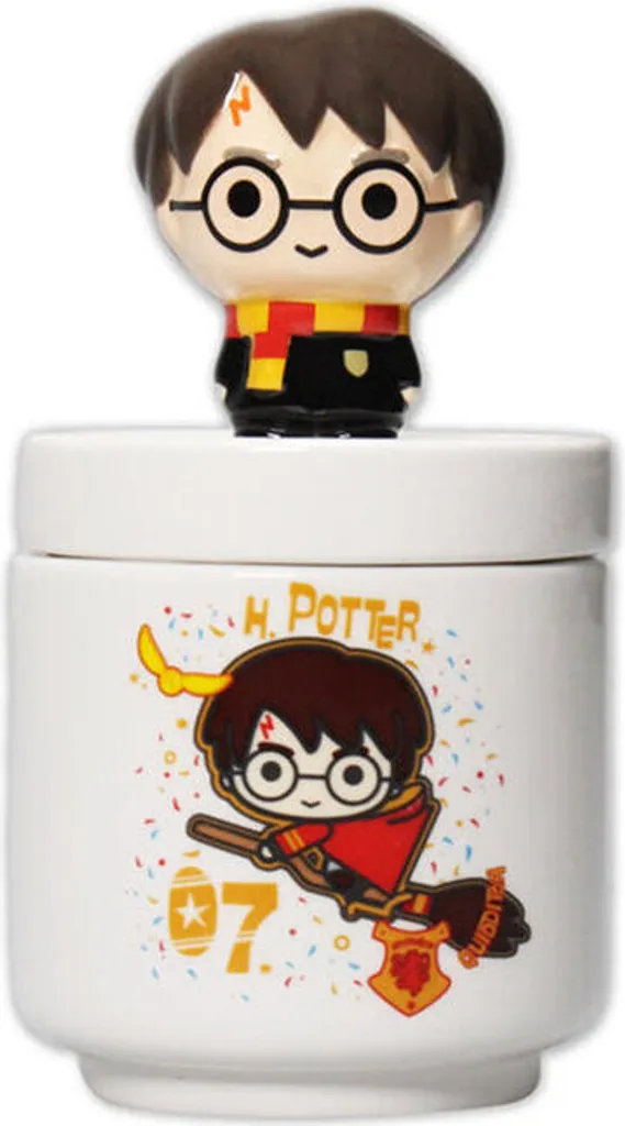 Scatola Harry Potter Kawaii per Bambini e Ragazzi: Ordine con Magia