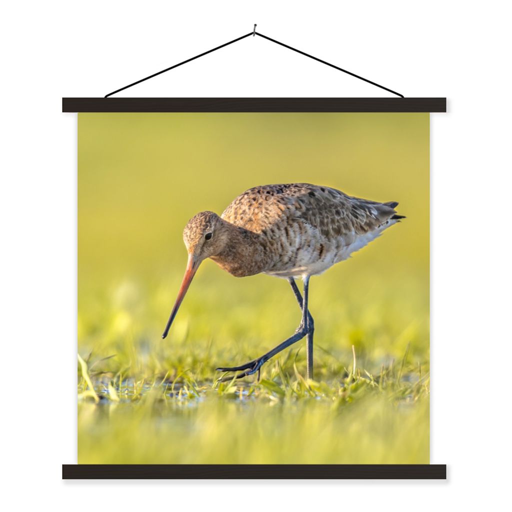MuchoWow Textilposter Vögel - Gras - Landschaft - Uferschnepfe 60x60 cm mit schwarzem Rahmen - Posteraufhänger
