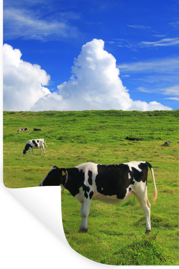 MuchoWow - Sticker - Dekorfolie