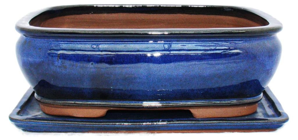 vaso per bonsai con sottovaso, misura 4 - blu - quadrato - Immagine del prodotto 