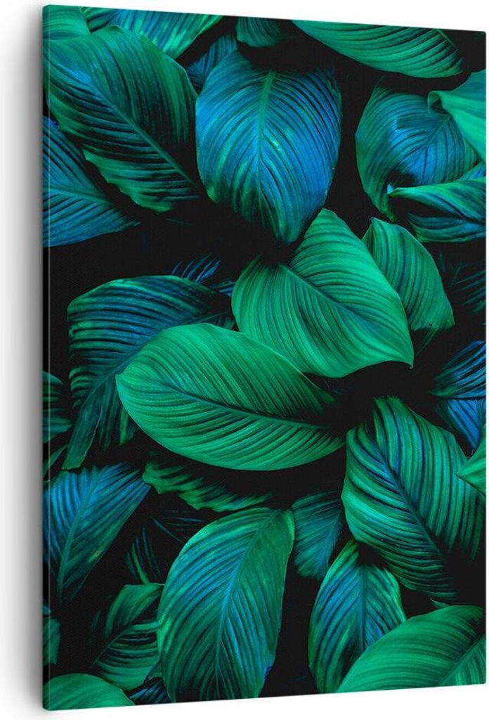 Bild auf Leinwand - Leinwandbild - Einteilig - Blätter Pflanzen Exotik - 50x70cm - Wand Bild - Wanddeko - Wandbilder - Leinwanddruck - Wanddekorat...