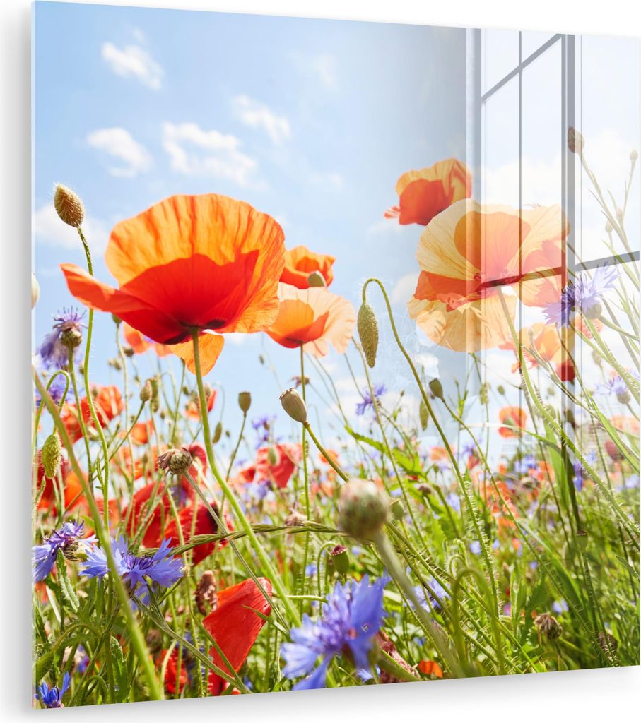 MuchoWow Glasbilder - Bilder auf Wandbild - Foto auf Glas Blumen - Mohn - Frühling - Natur - Rot - Blau 50x50 cm Wanddekoration aus Glas - Acrylgl...