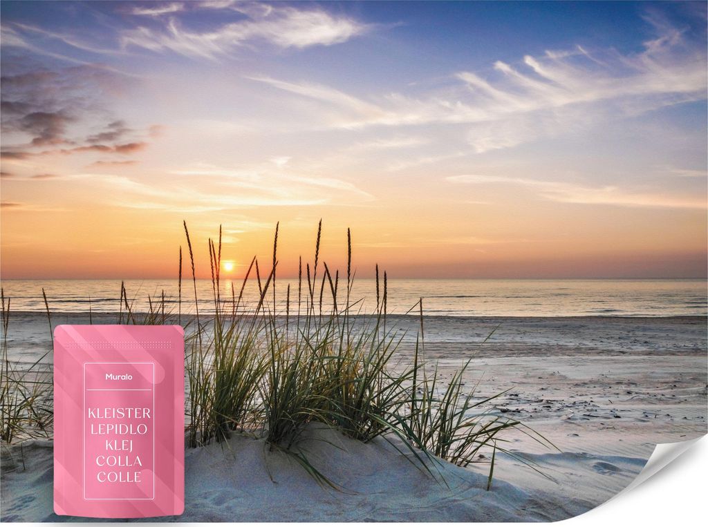 Muralo Vlies Fototapete Meer STRAND Dünen Sonnenuntergang Landschaft 3D 100x70