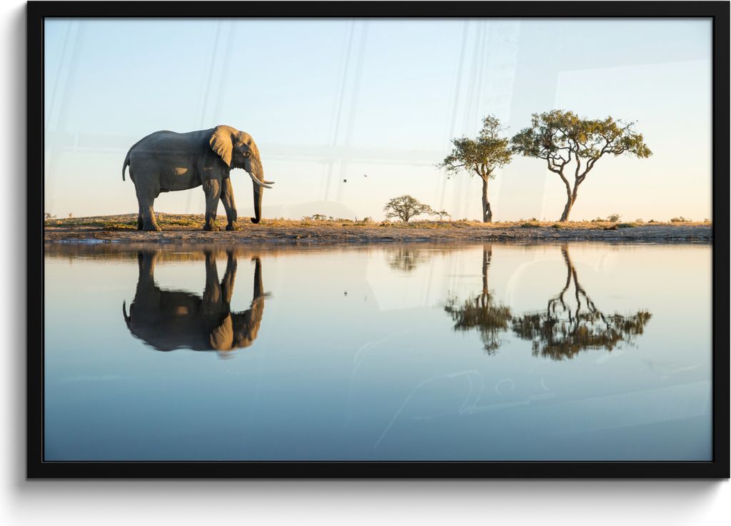 MuchoWow® MuchoWow® Gerahmtes Poster Elefant - Wasser - Produktbild 