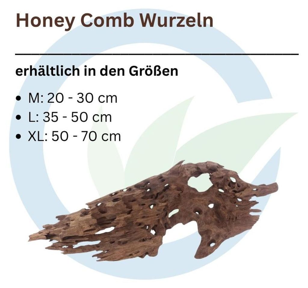 Honey Comb Wurzel XL 50-70cm