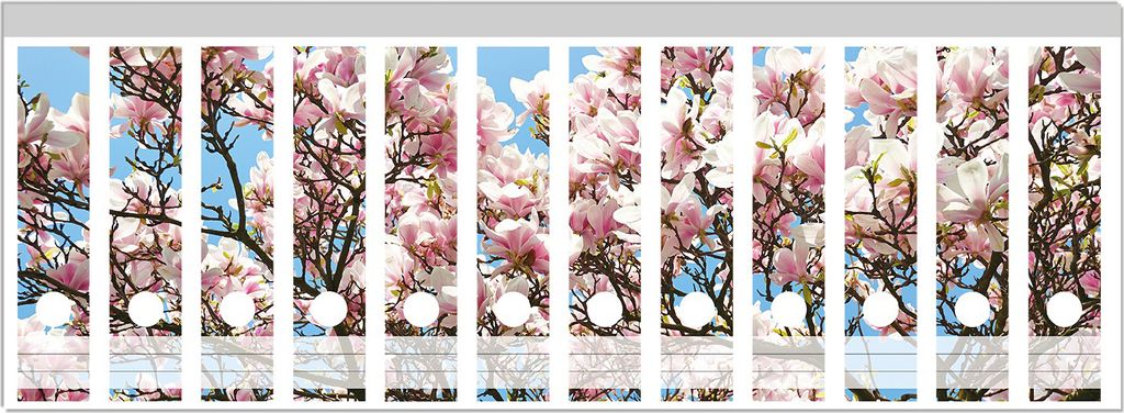 Wallario Ordnerrücken Sticker, selbstklebend für breite Ordner, 12 Stück, Motiv Schöne rosa Magnolien-Blüten vor blauem Himmel