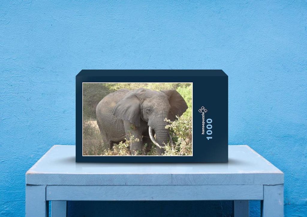 hansepuzzle 85810 - Elefant Puzzle, 1000 Teile, Tierwelt, 60,0 x 46,0cm mit hochwertiger Aufbewahrung, Kartonbox und wiederverschließbarem Beutel