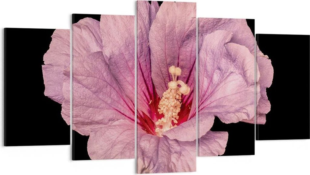 Bild auf Leinwand - Leinwandbild - 5 Teile - Hibiskus Blume Rosa - 160x85cm - Wand Bild - Wanddeko - Wandbilder - Leinwanddruck - Bilder - Wanddeko...