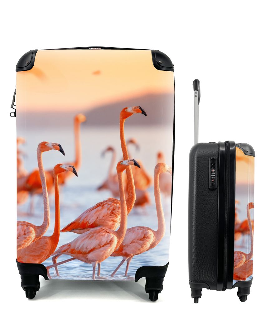 MuchoWow Koffer Handgepäck Trolley Rollkoffer Kleine Reisekoffer mit 4 Rollen - Flamingo - Tiere - Wasser - Rosa - Cabin Size < 55x40x23 cm & 55...