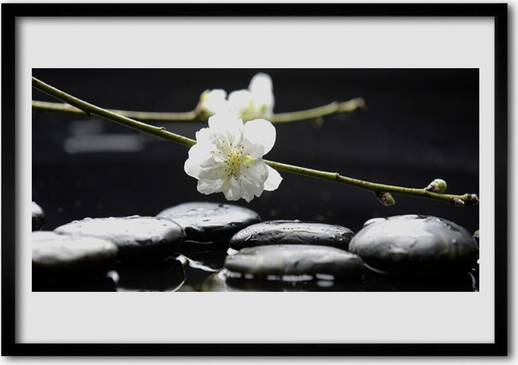 Bild 70x50 MDF-Rahmen Wandkunst Zweig Blütenstiele