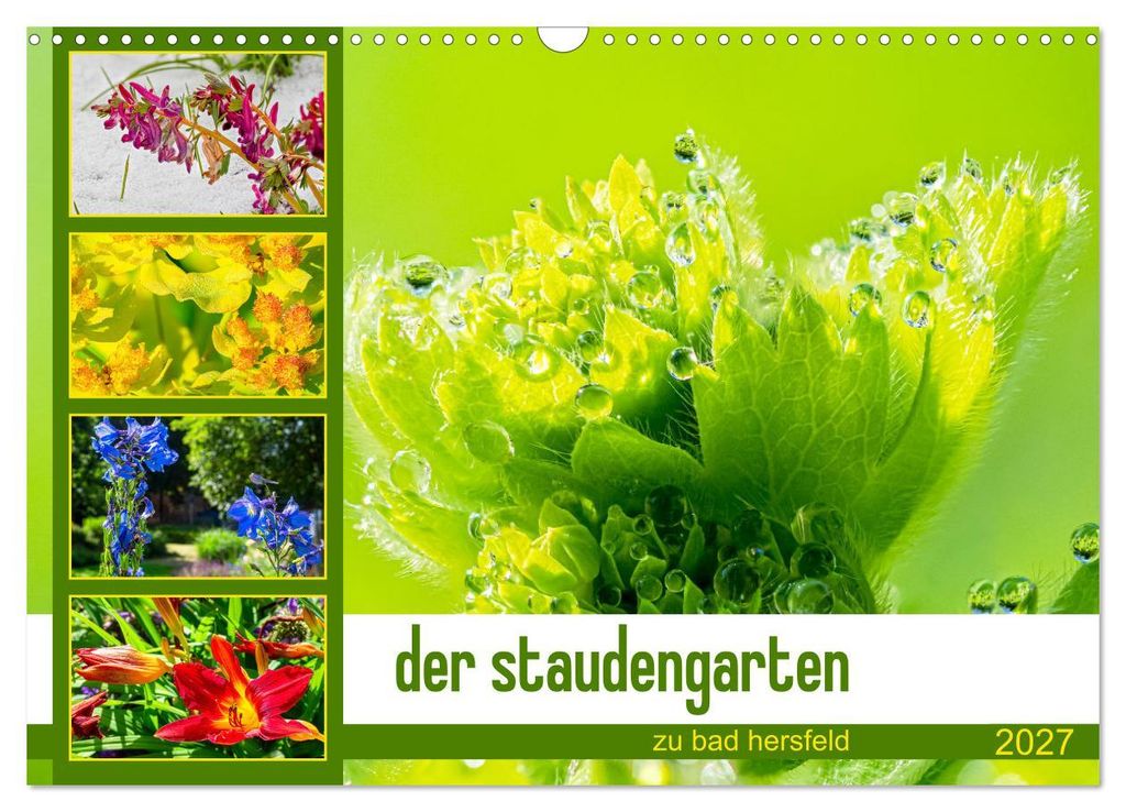 der staudengarten zu bad hersfeld (Wandkalender 2027 DIN A3 quer), CALVENDO Monatskalender