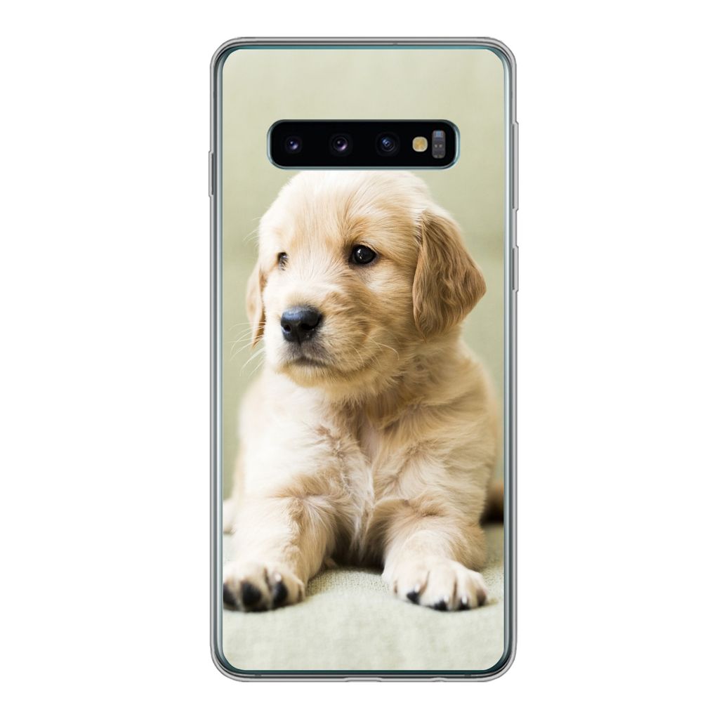MuchoWow Handyhülle Schutzhülle Hülle für Samsung Galaxy S10 Golden Retriever Welpe auf dem Sofa liegend Silikon Softcase Handy Hülle - Hand...