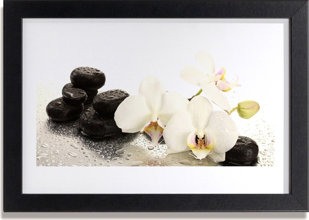 Bild 30x20 MDF-Rahmen Wandkunst Stein Blume Pflanze Produktbild 