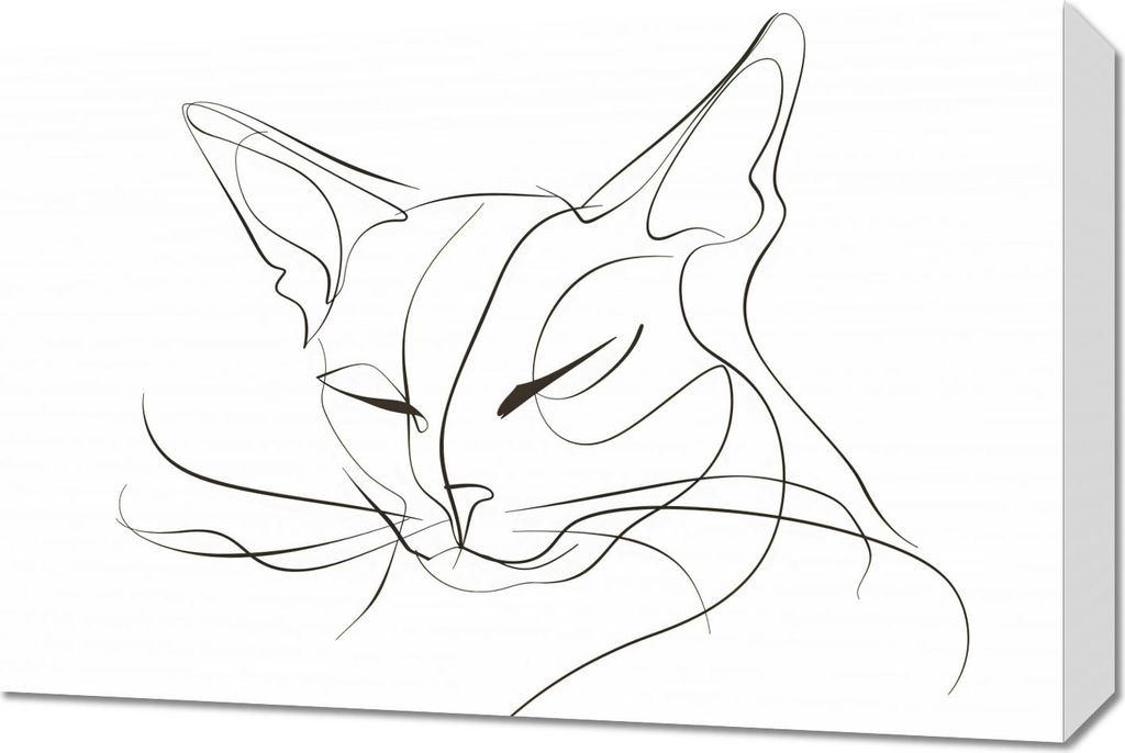 Bild 60x40cm Linienstrecken Katze