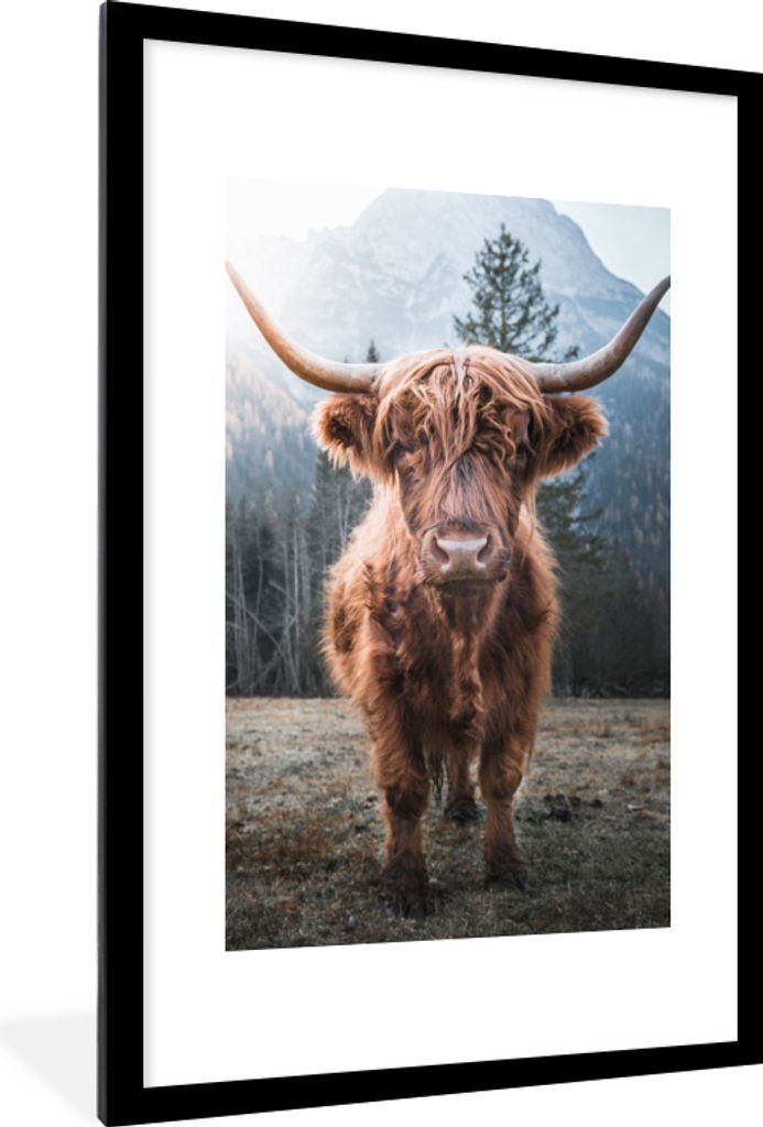 MuchoWow Gerahmtes Poster Schottischer Hochländer - Kuh - Tiere - Berg - Natur 60x90 cm - Poster mit Schwarzem Bilderrahmen Wandposter Rahmen Fo...
