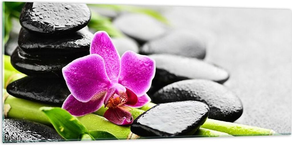 Bilder auf glas - Pflanze Steine Bambus Spa - 120x50cm - Glasbilder - Wandbilder - Kunstdruck - zum Aufhängen bereit - Wanddekoration aus Glas - G...