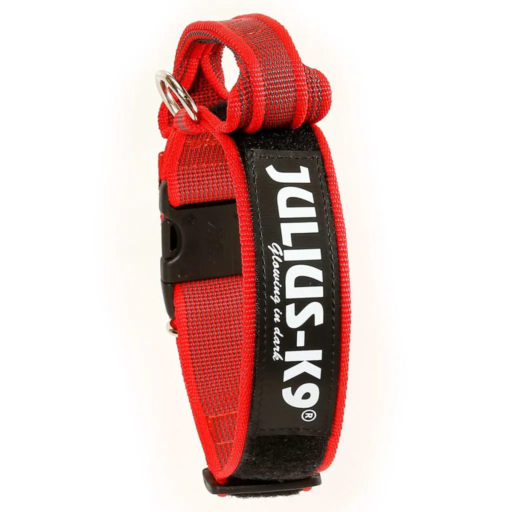 Collare Cane Julius-K9 Rosso 40 mm regolabile 38-53 cm con Maniglia