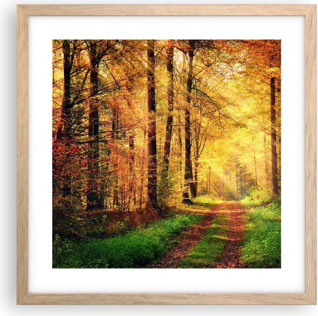 Gerahmtes Poster - Rahmen in heller Eiche - Wald Baum Natur Produktbild 